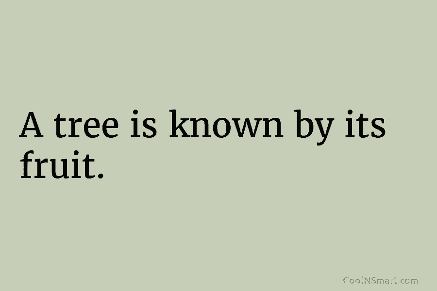 A tree is known by its fruit.