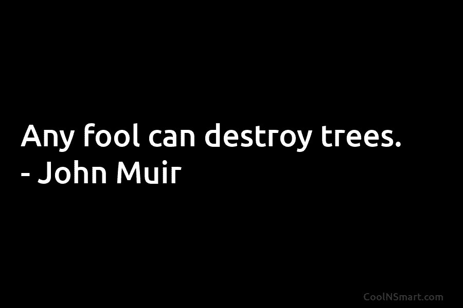 Any fool can destroy trees. – John Muir
