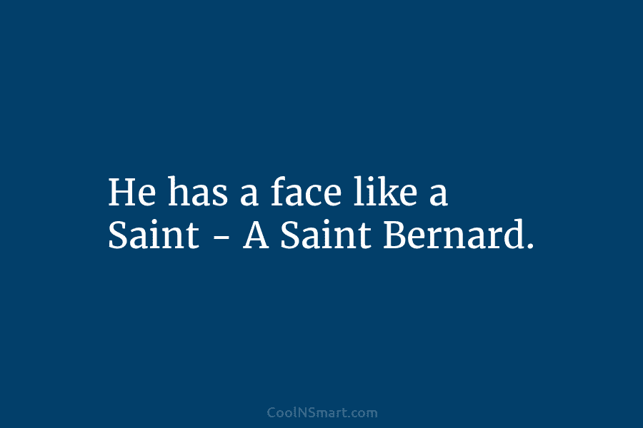 He has a face like a Saint – A Saint Bernard.