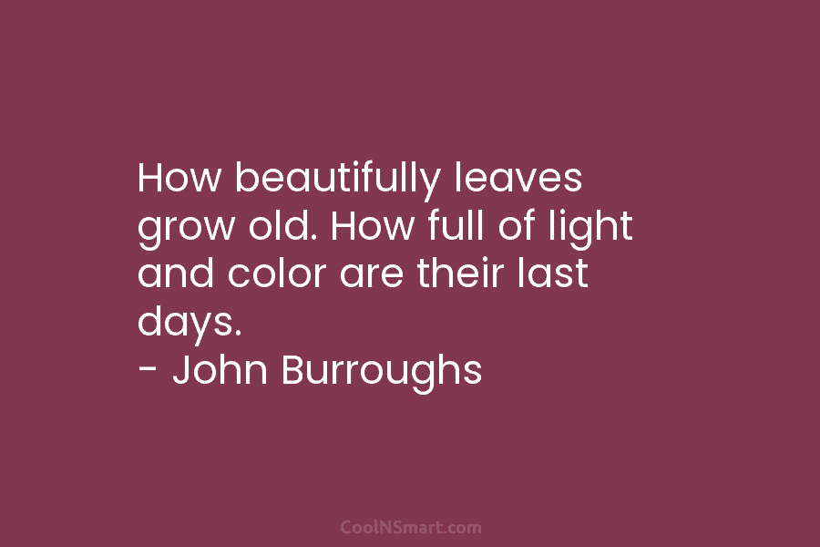 How beautifully leaves grow old. How full of light and color are their last days....