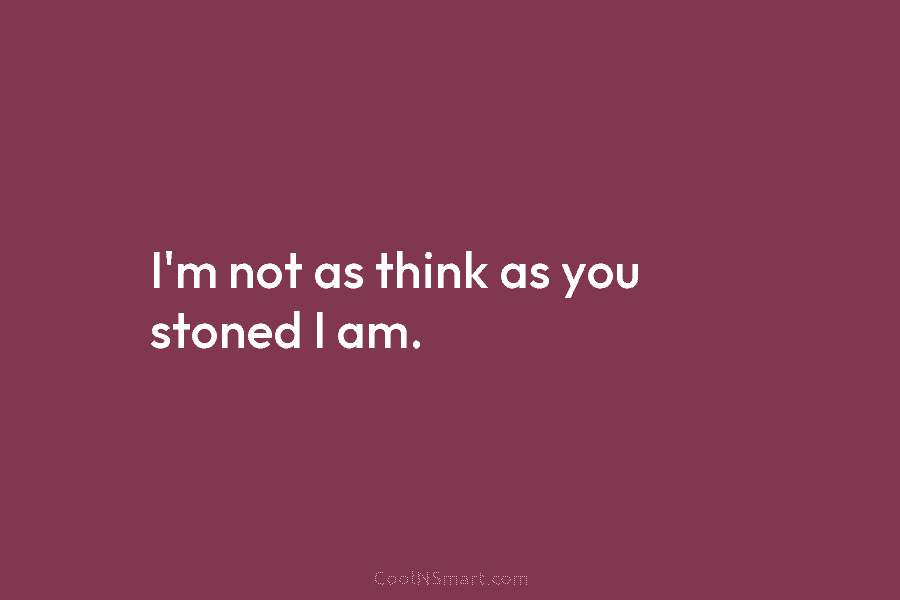 I’m not as think as you stoned I am.