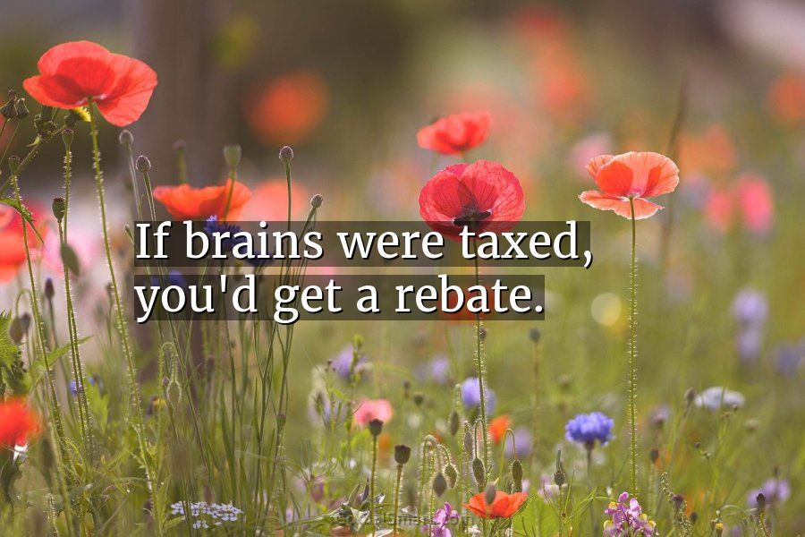 Quote If Brains Were Taxed You d Get A Rebate CoolNSmart