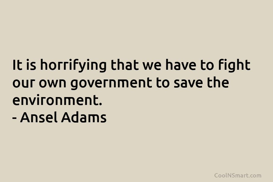 It is horrifying that we have to fight our own government to save the environment. – Ansel Adams