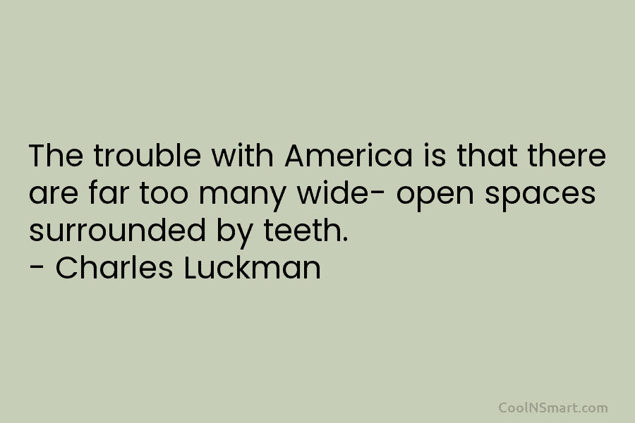 The trouble with America is that there are far too many wide- open spaces surrounded by teeth. – Charles Luckman