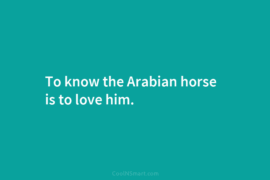 To know the Arabian horse is to love him.