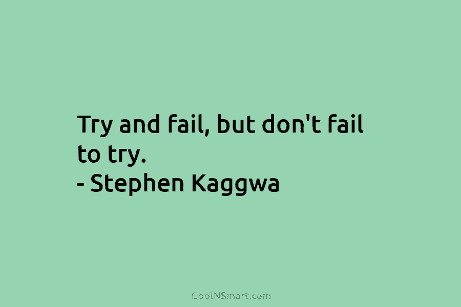 Try and fail, but don’t fail to try. – Stephen Kaggwa
