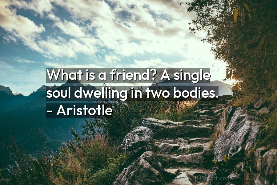 friendship is a single soul dwelling in two bodies