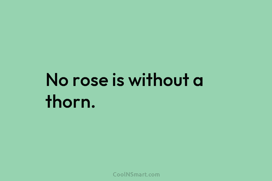 No rose is without a thorn.