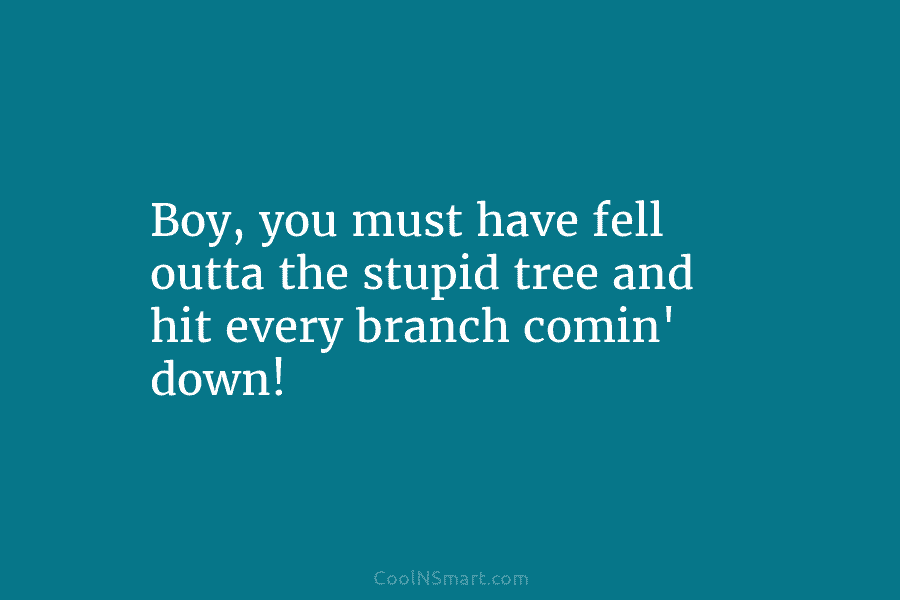 Boy, you must have fell outta the stupid tree and hit every branch comin’ down!