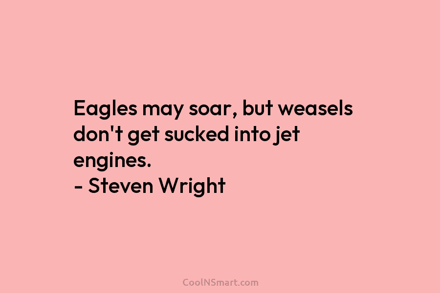 Eagles may soar, but weasels don’t get sucked into jet engines. – Steven Wright