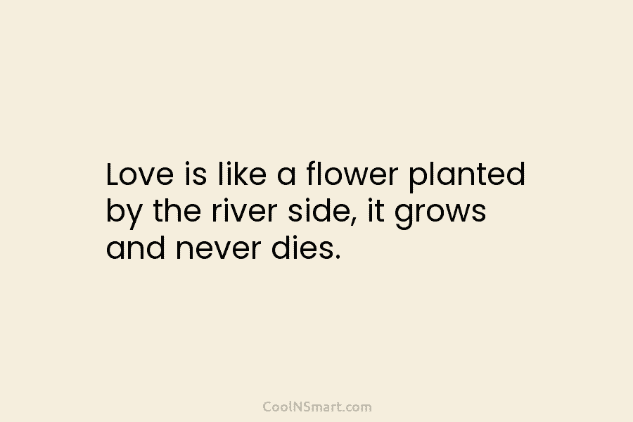 Love is like a flower planted by the river side, it grows and never dies.