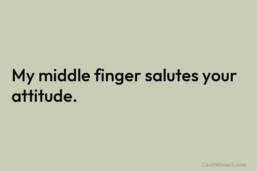 My middle finger salutes your attitude.