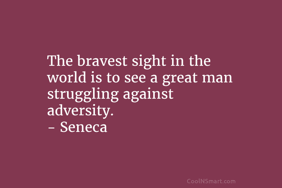 The bravest sight in the world is to see a great man struggling against adversity. – Seneca