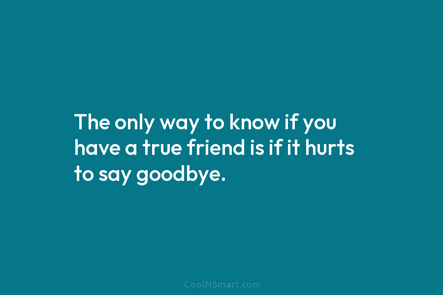 The only way to know if you have a true friend is if it hurts to say goodbye.