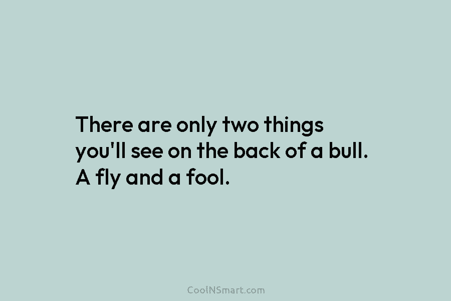 There are only two things you’ll see on the back of a bull. A fly...