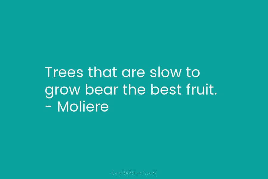 Trees that are slow to grow bear the best fruit. – Moliere