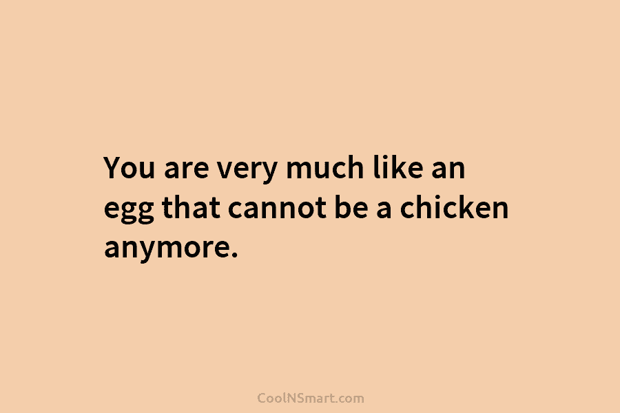 You are very much like an egg that cannot be a chicken anymore.