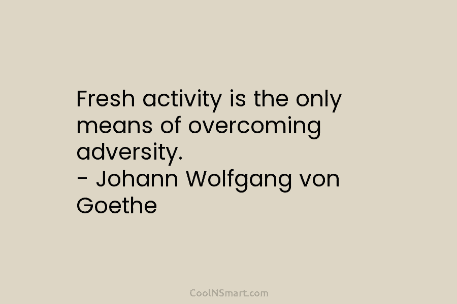 Fresh activity is the only means of overcoming adversity. – Johann Wolfgang von Goethe