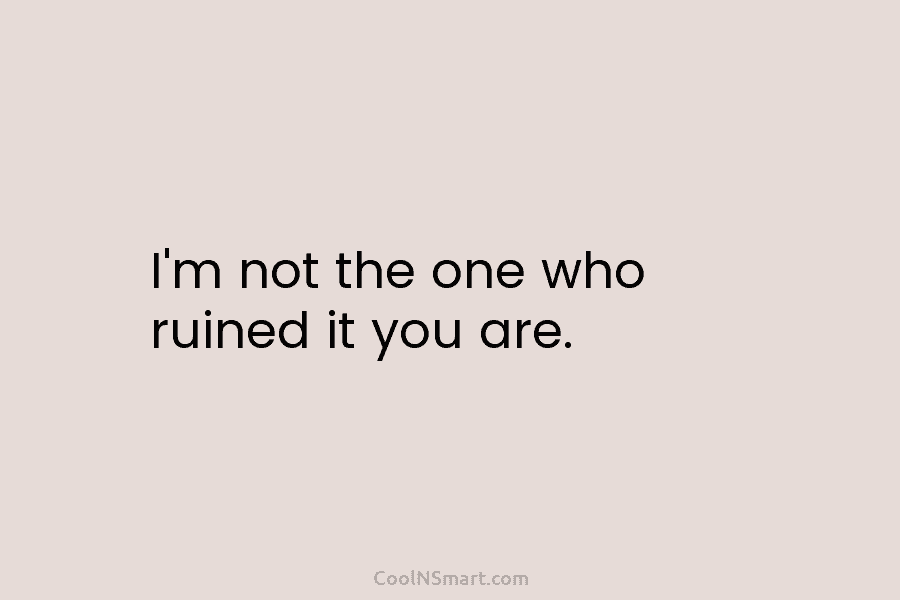 I’m not the one who ruined it you are.