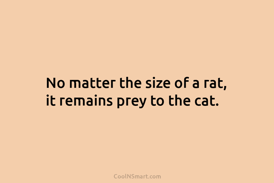 No matter the size of a rat, it remains prey to the cat.