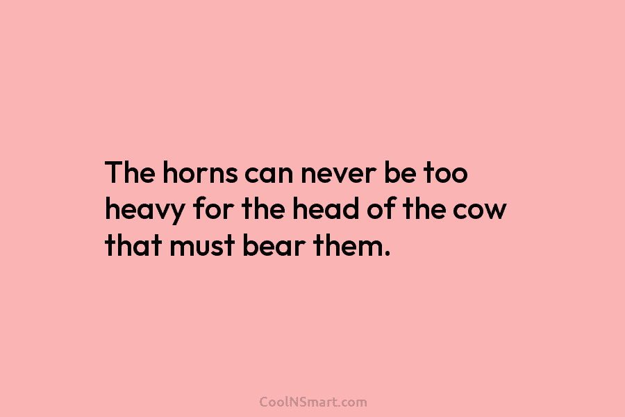 The horns can never be too heavy for the head of the cow that must...