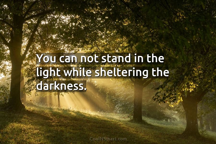 Quote: You can not stand in the light while sheltering the - CoolNSmart