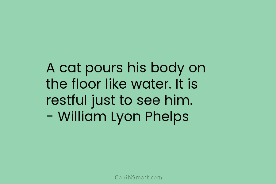 A cat pours his body on the floor like water. It is restful just to...