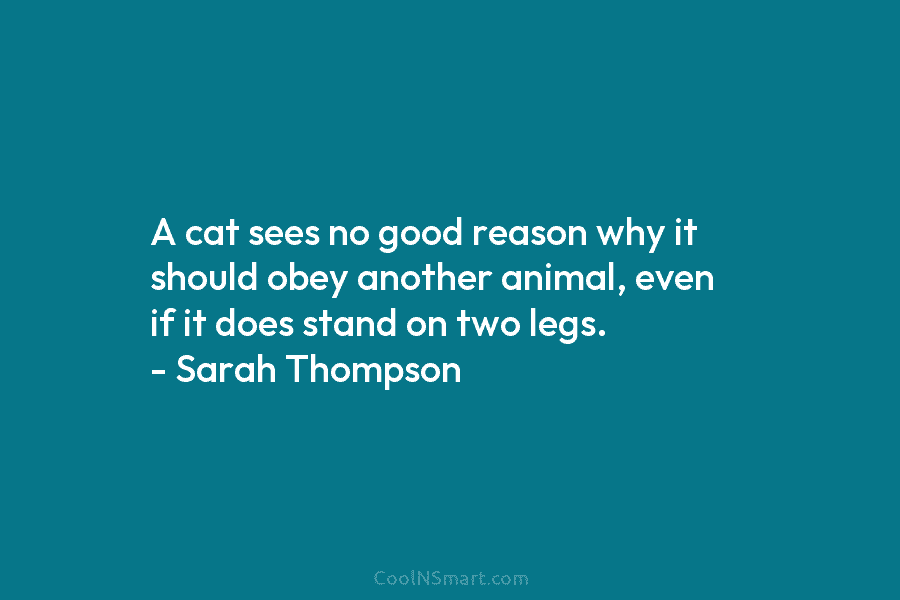 A cat sees no good reason why it should obey another animal, even if it...