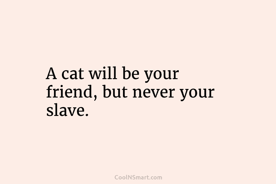 A cat will be your friend, but never your slave.