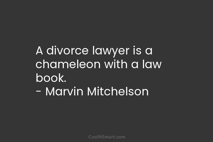 A divorce lawyer is a chameleon with a law book. – Marvin Mitchelson