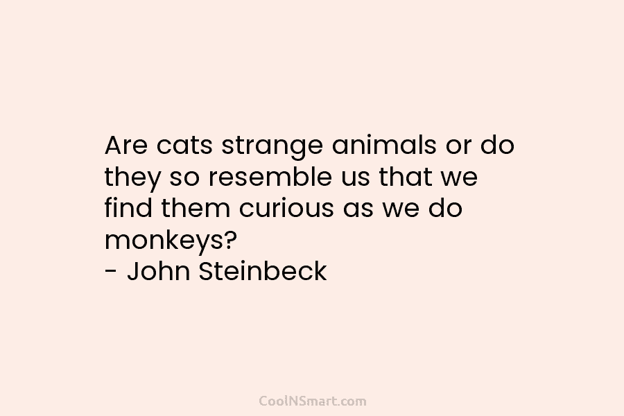Are cats strange animals or do they so resemble us that we find them curious...