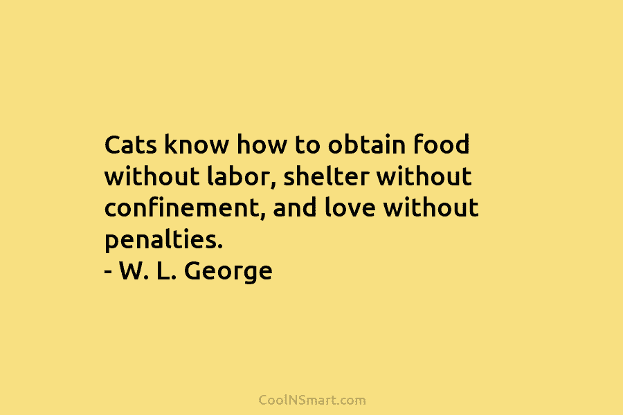 Cats know how to obtain food without labor, shelter without confinement, and love without penalties....