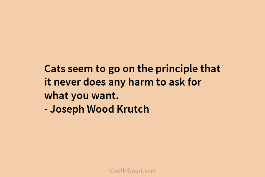 Cats seem to go on the principle that it never does any harm to ask...