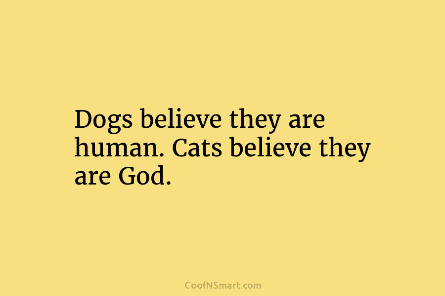 Dogs believe they are human. Cats believe they are God.
