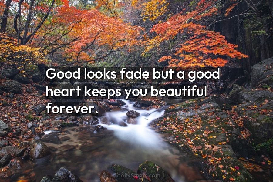 Good looks fade but a good heart keeps you beautiful forever  #evolvewithjohnedward #psychicmediumje
