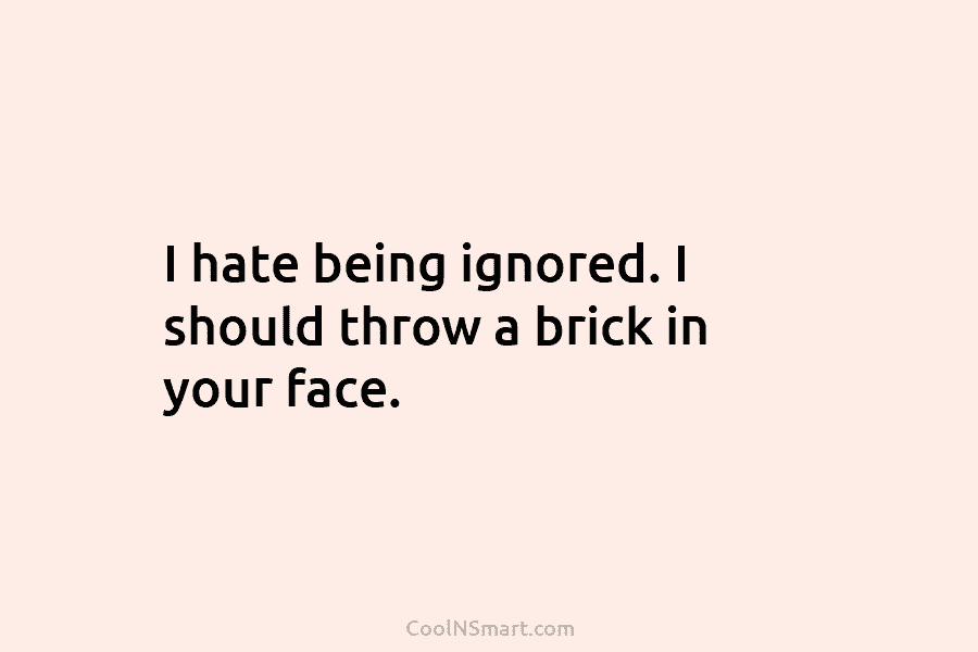 I hate being ignored. I should throw a brick in your face.