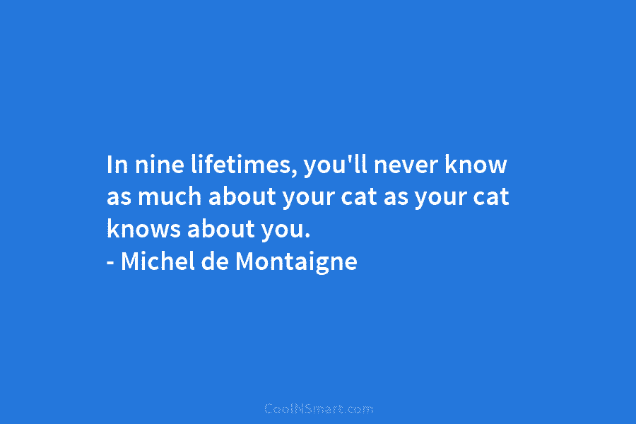 In nine lifetimes, you’ll never know as much about your cat as your cat knows...