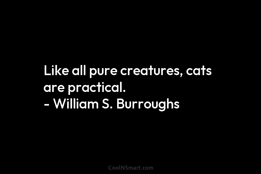 Like all pure creatures, cats are practical. – William S. Burroughs