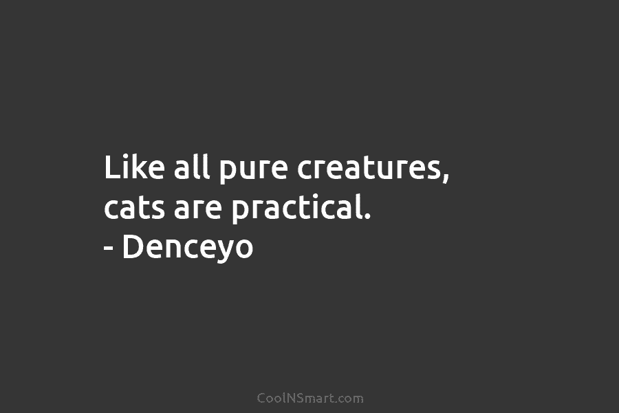 Like all pure creatures, cats are practical. – Denceyo
