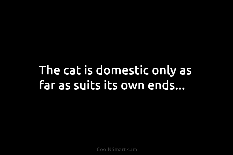 The cat is domestic only as far as suits its own ends…