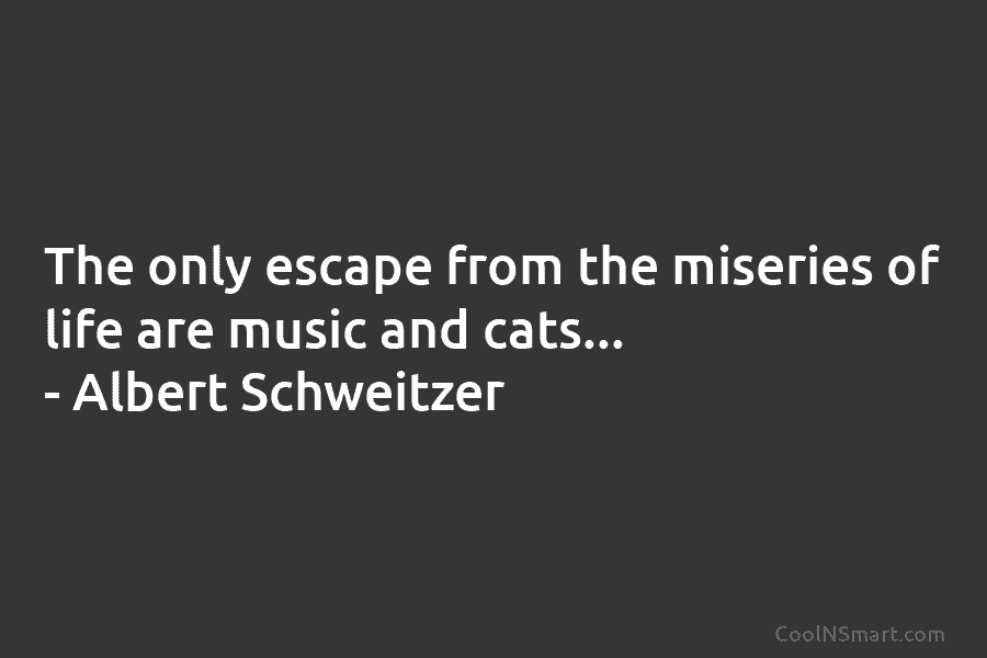 The only escape from the miseries of life are music and cats… – Albert Schweitzer