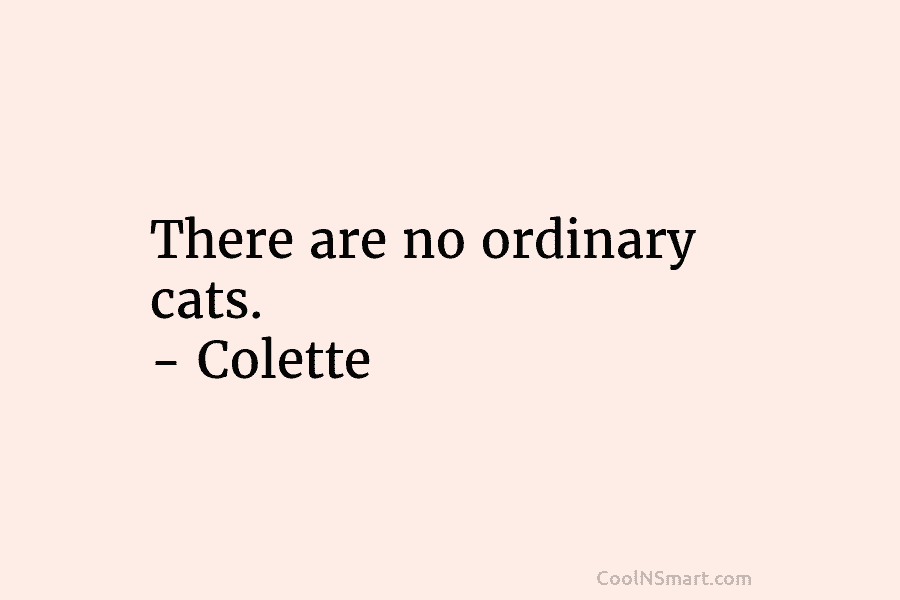 There are no ordinary cats. – Colette
