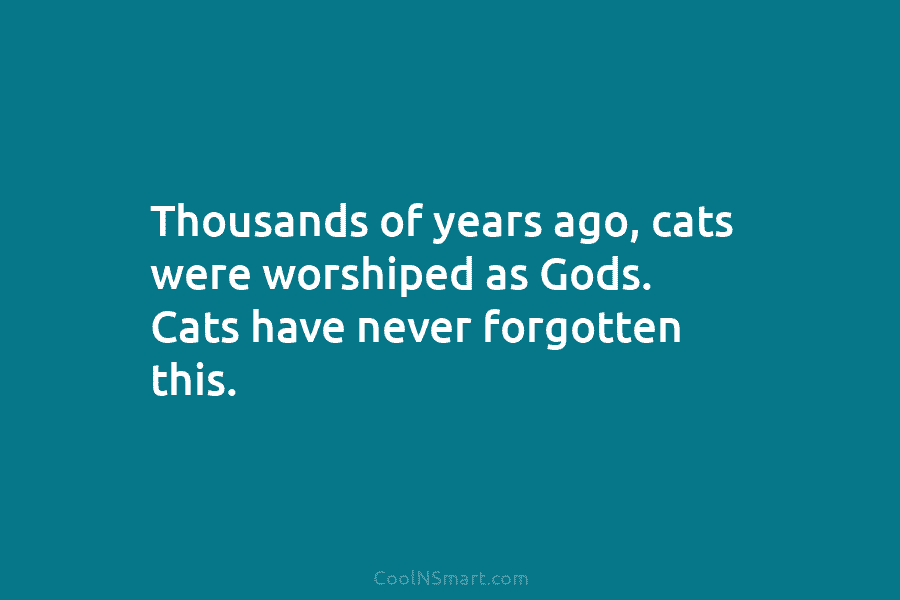 Thousands of years ago, cats were worshiped as Gods. Cats have never forgotten this.