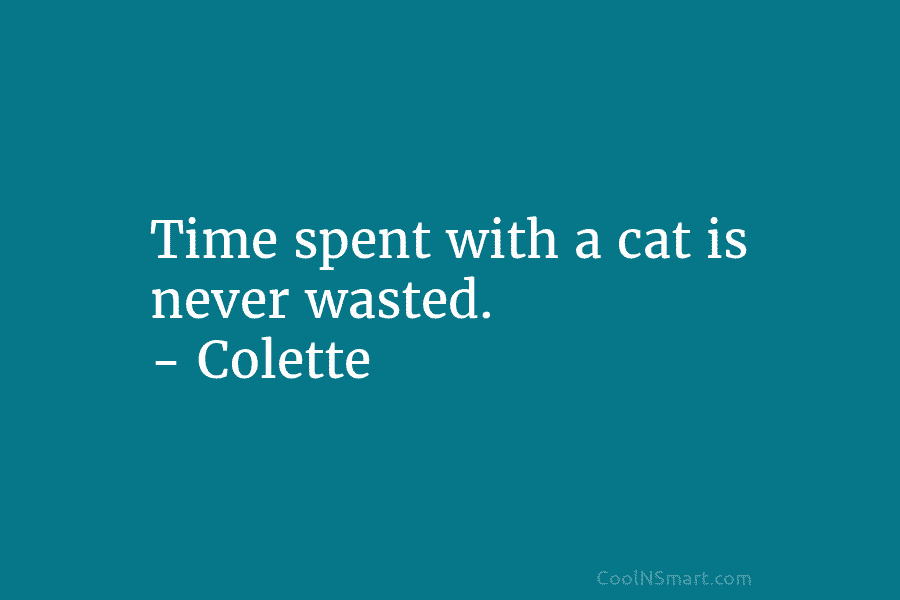 Time spent with a cat is never wasted. – Colette
