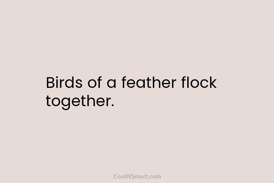 Birds of a feather flock together.