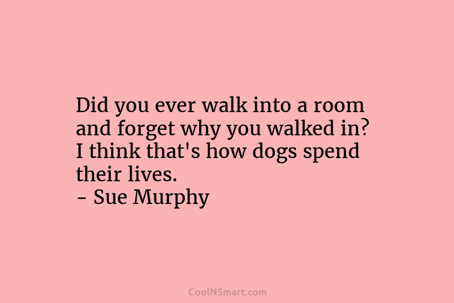 Did you ever walk into a room and forget why you walked in? I think that’s how dogs spend their...