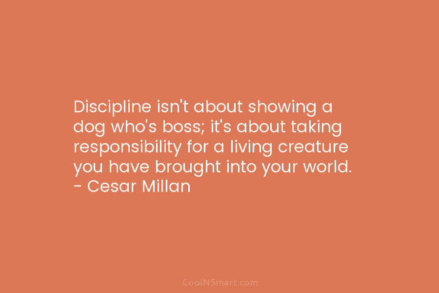 Discipline isn’t about showing a dog who’s boss; it’s about taking responsibility for a living...