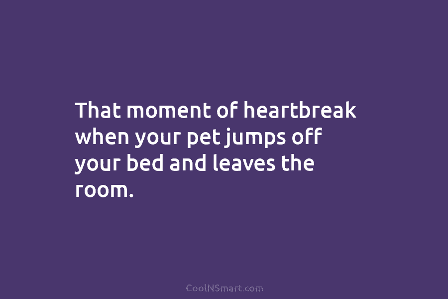 That moment of heartbreak when your pet jumps off your bed and leaves the room.