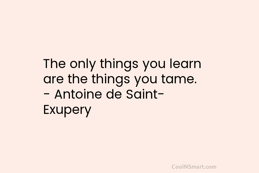 The only things you learn are the things you tame. – Antoine de Saint- Exupery