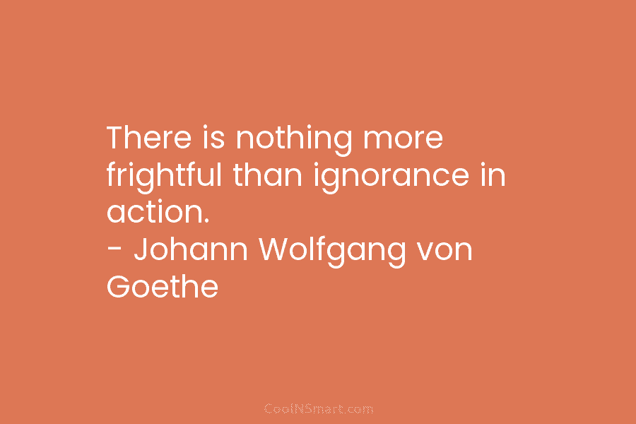 There is nothing more frightful than ignorance in action. – Johann Wolfgang von Goethe